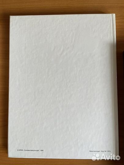 Книги/Шишкин, Белорусская живопись