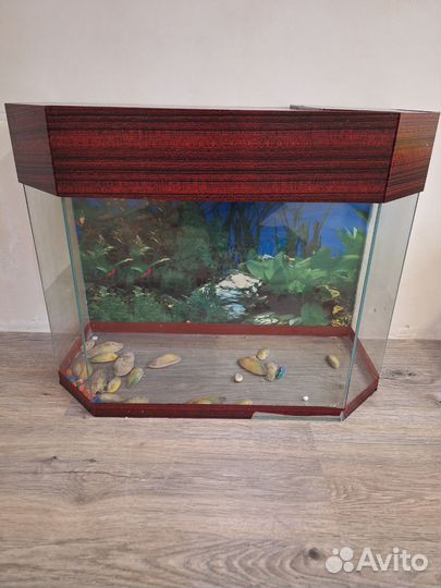Аквариум