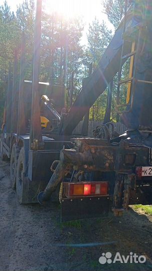 КамАЗ 43118 с КМУ, 2018