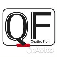 QF83A00043 Натяжитель цепи грм