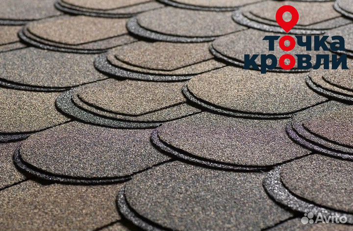 Шинглас Атлантика