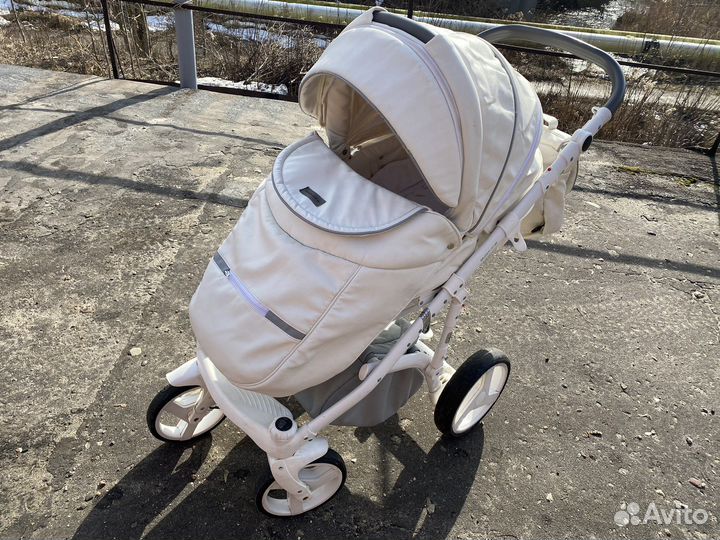 Коляска Adamex Massimo 2 в 1