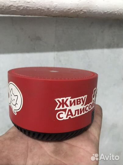 Продам алису