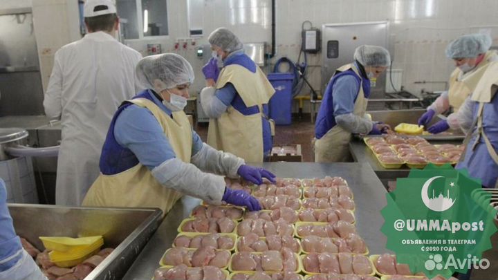 Вахта Томск Комплектовщик (ца) Выплаты еженедельно