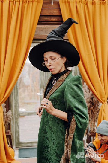 Аниматор/квест/Гарри Поттер/профессор Макгонаглл