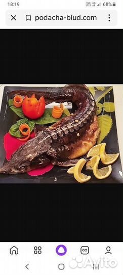 Рыба царская