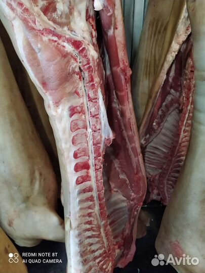 Мясо свинина