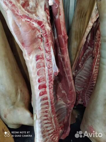 Мясо свинина