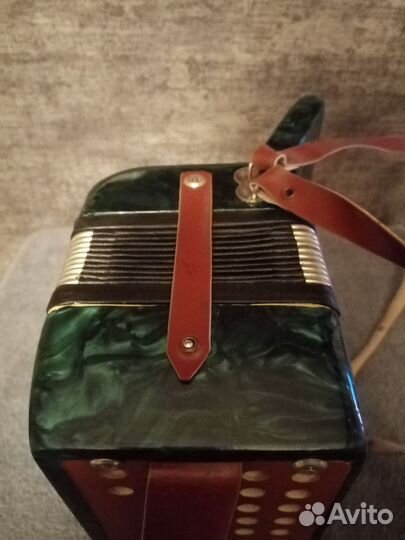 Аккордеон 