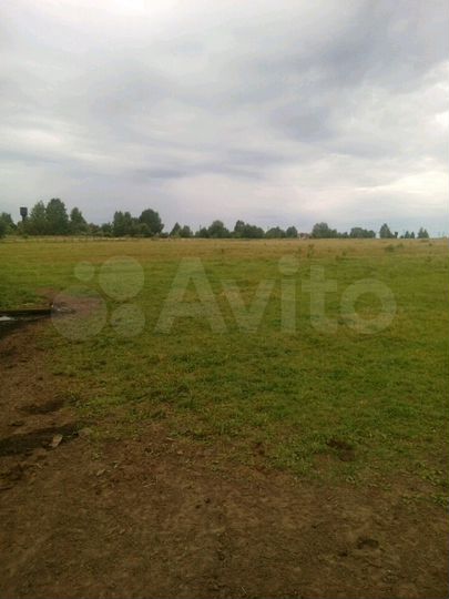 Участок 66 сот. (СНТ, ДНП)