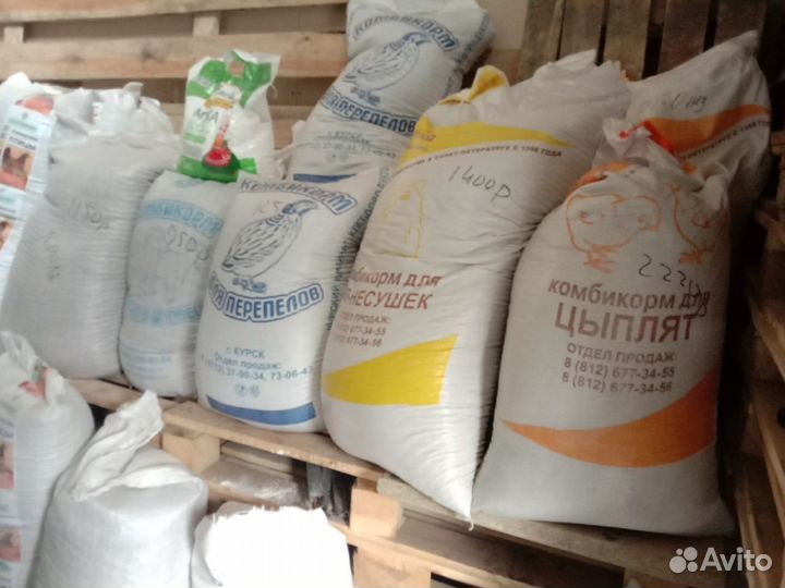 Корм для кур