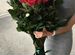 Розы букет из роз с доставкой 101 роза