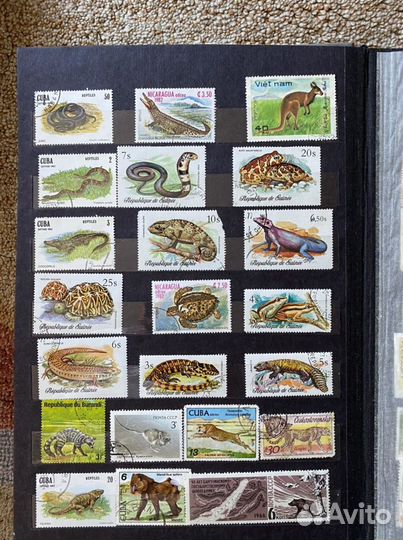 Альбом с марками СССР