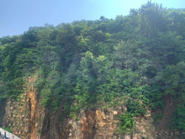 2-к. квартира, 50,8 м², 7/25 эт.