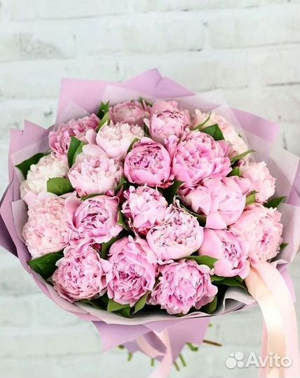 Пионы Цветы Доставка