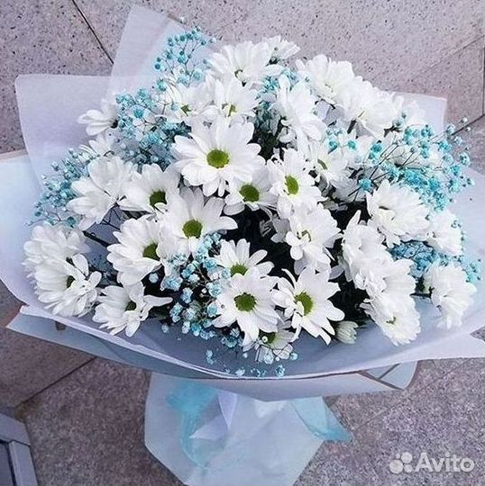 Доставка букетов и цветов. Хризантема