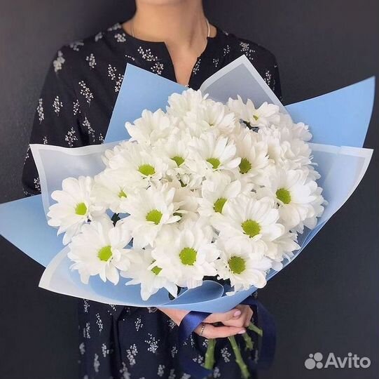 Хризантема Доставка цветов