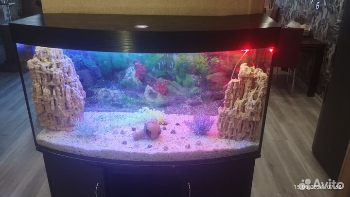 Аквариум с тумбой 350