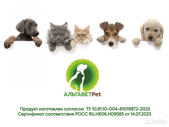 Живая хлорелла для животных Альгавет Pet 5,0 л