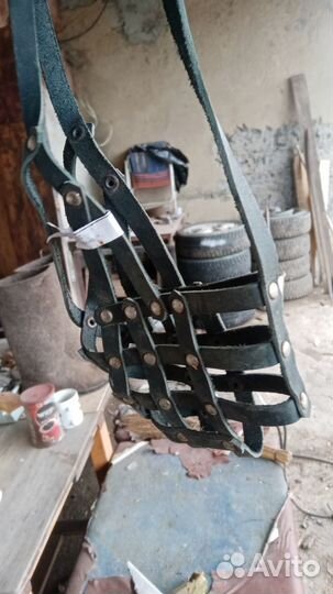 Собачий намордник