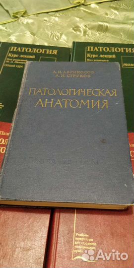 Анатомия человека