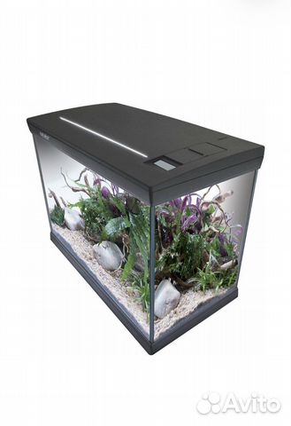 Аквариум 30 литров