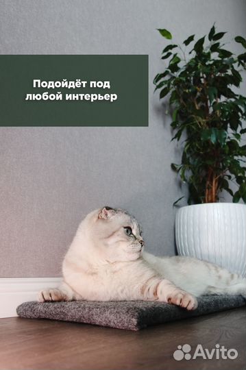 Когтеточка для кошки лежанка ковролиновая защитная
