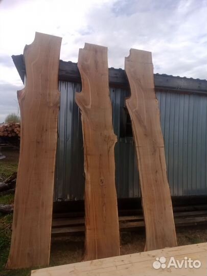 Доска дубовая необрезная