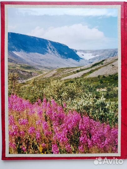 Минералы Кольского полуострова