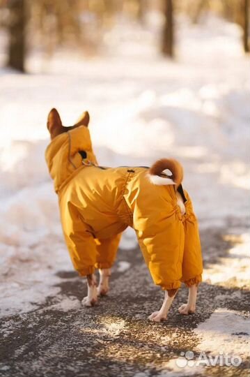 Комбинезон для Басенджи