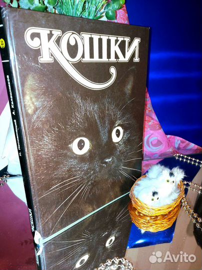 Книга Кошки