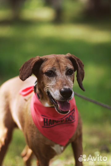 Очень нужен дом