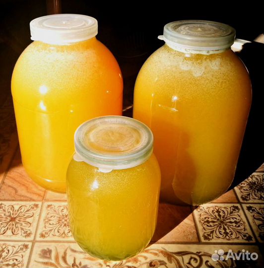 Мёд урожай 2023г