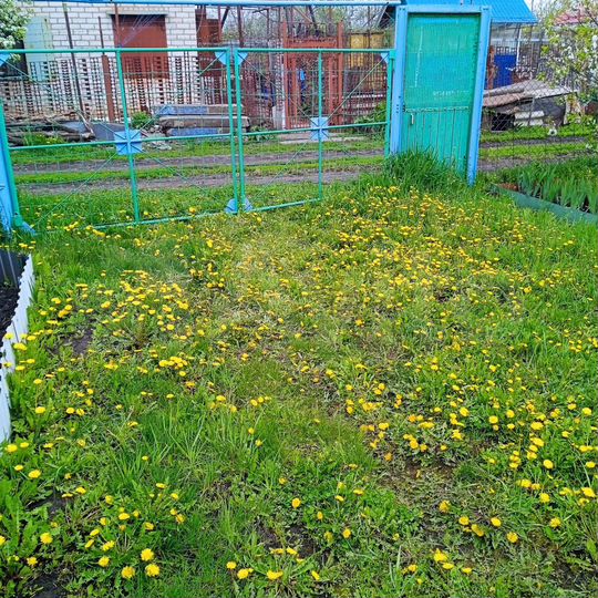 Дача 10 м² на участке 9 сот.