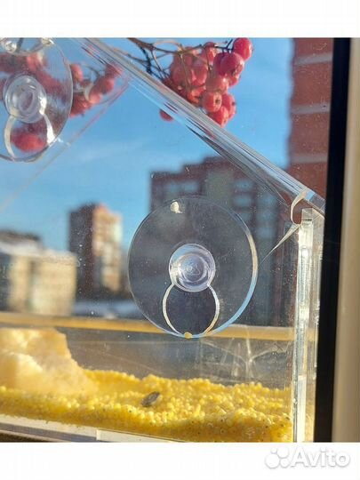 Кормушка для птиц на присосках