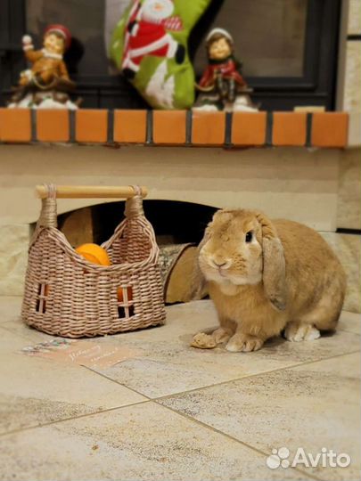 Корзина для хранения игрушек