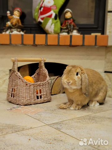 Корзина для хранения игрушек