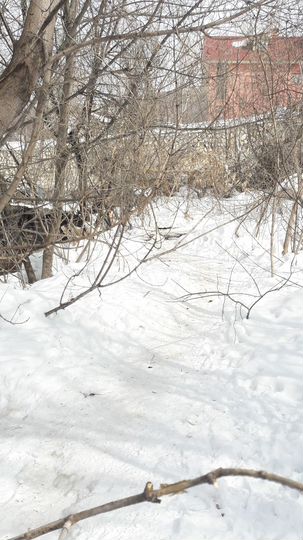 Участок 1,3 сот. (СНТ, ДНП)