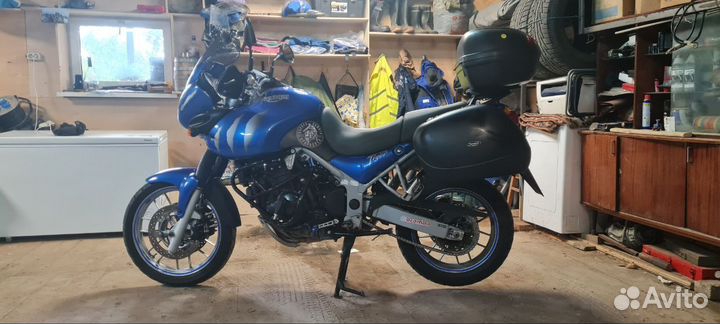 Triumph tiger 955i