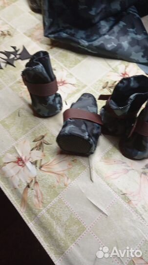 Демисезонная обувь для собак