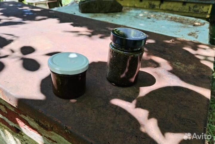 Сбор травяной на меду от гельминтов