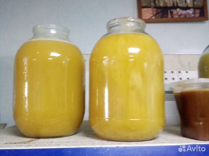 Мед алтайский