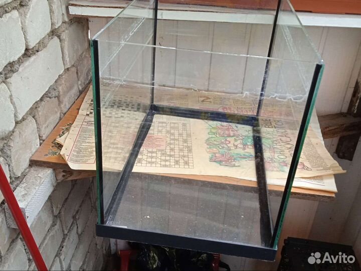 Аквариум с фильмом