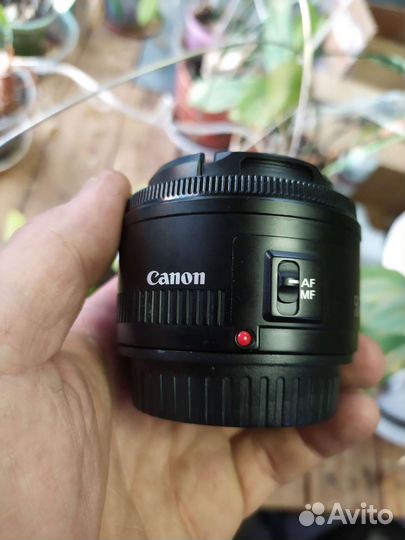 Объектив canon 50mm 1 8 ii, отличный портретник