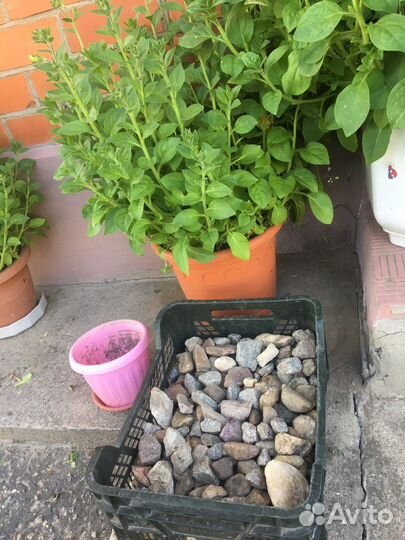 Декоративные камушки, горшки для цветов