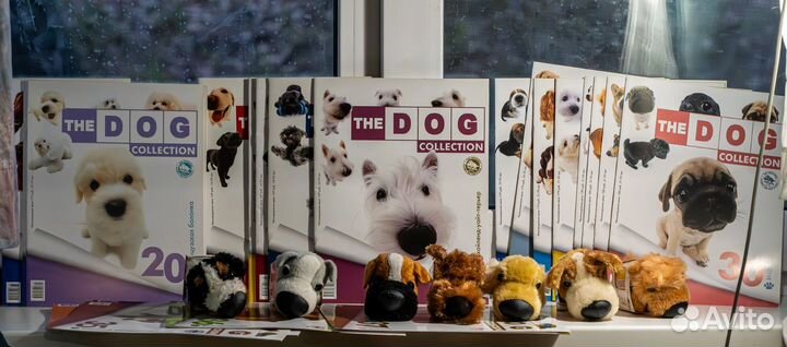 The dog collection собаки коллекция