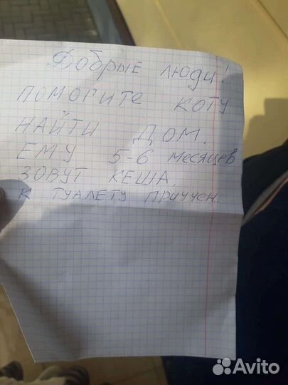 Выбросили