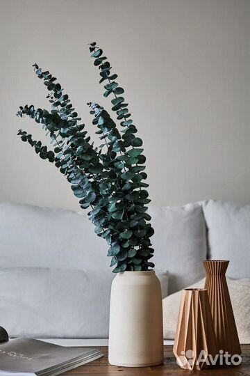 Сухоцветы, гипсофила, пшеница, лагурус, гортензия