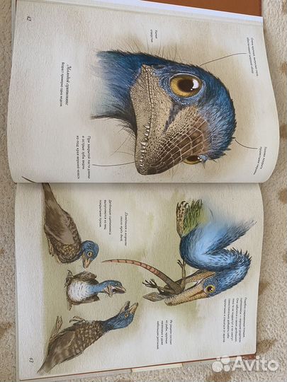 Книга про динозавров