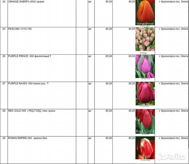 Тюльпаны к 8 марта оптом